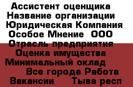 Ассистент оценщика › Название организации ­ Юридическая Компания Особое Мнение, ООО › Отрасль предприятия ­ Оценка имущества › Минимальный оклад ­ 30 000 - Все города Работа » Вакансии   . Тыва респ.